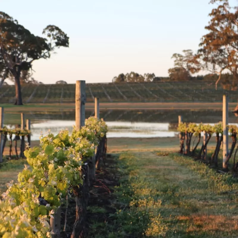 The Wild Game Wine in Naracoorte South Australia is a great place to relax