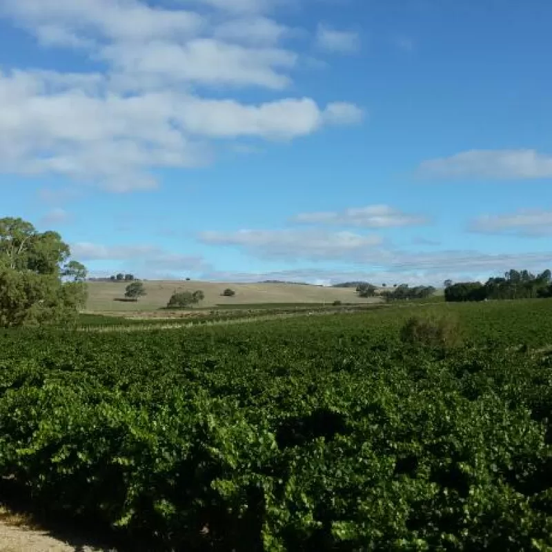 The Hemera Estate in Lyndoch South Australia is a great place to relax