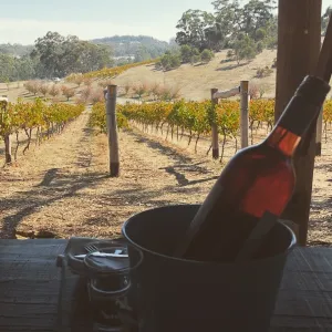 A relaxing photo of the Guildford Vineyard & Cellar in Guildford, Victoria