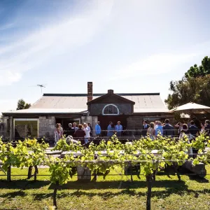A relaxing photo of the Oneday Estate Winery & Function Centre in Curlewis, Victoria
