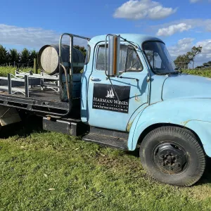 A relaxing photo of the Harman Wines in Wattle Bank, Victoria
