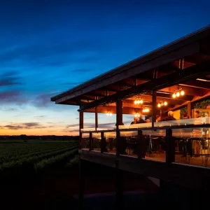 A relaxing photo of the Atze's Corner Wines in Nuriootpa, South Australia