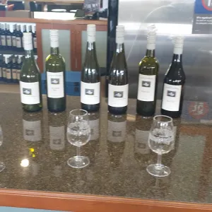 A relaxing photo of the Paracombe Wines in Paracombe, South Australia