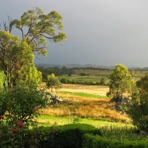 A relaxing photo of the Bungonia Creek wines plants and produce in Bungonia, New South Wales